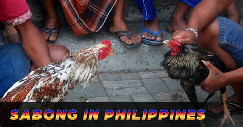 sabong weapons|Where and how did the sabong in the Philippines .